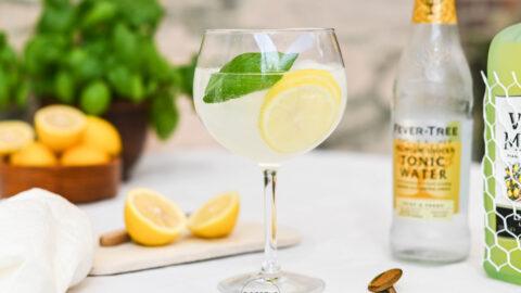 Limoncello tonica-4