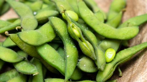 edamame_-2