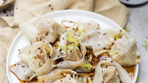 Dumpling kipgehakt-4