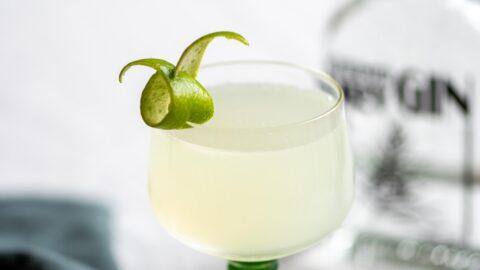 Gimlet-schermer-4