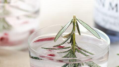 Kerst Gin Tonic-2