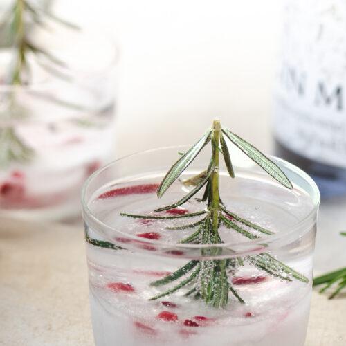Kerst Gin Tonic-2