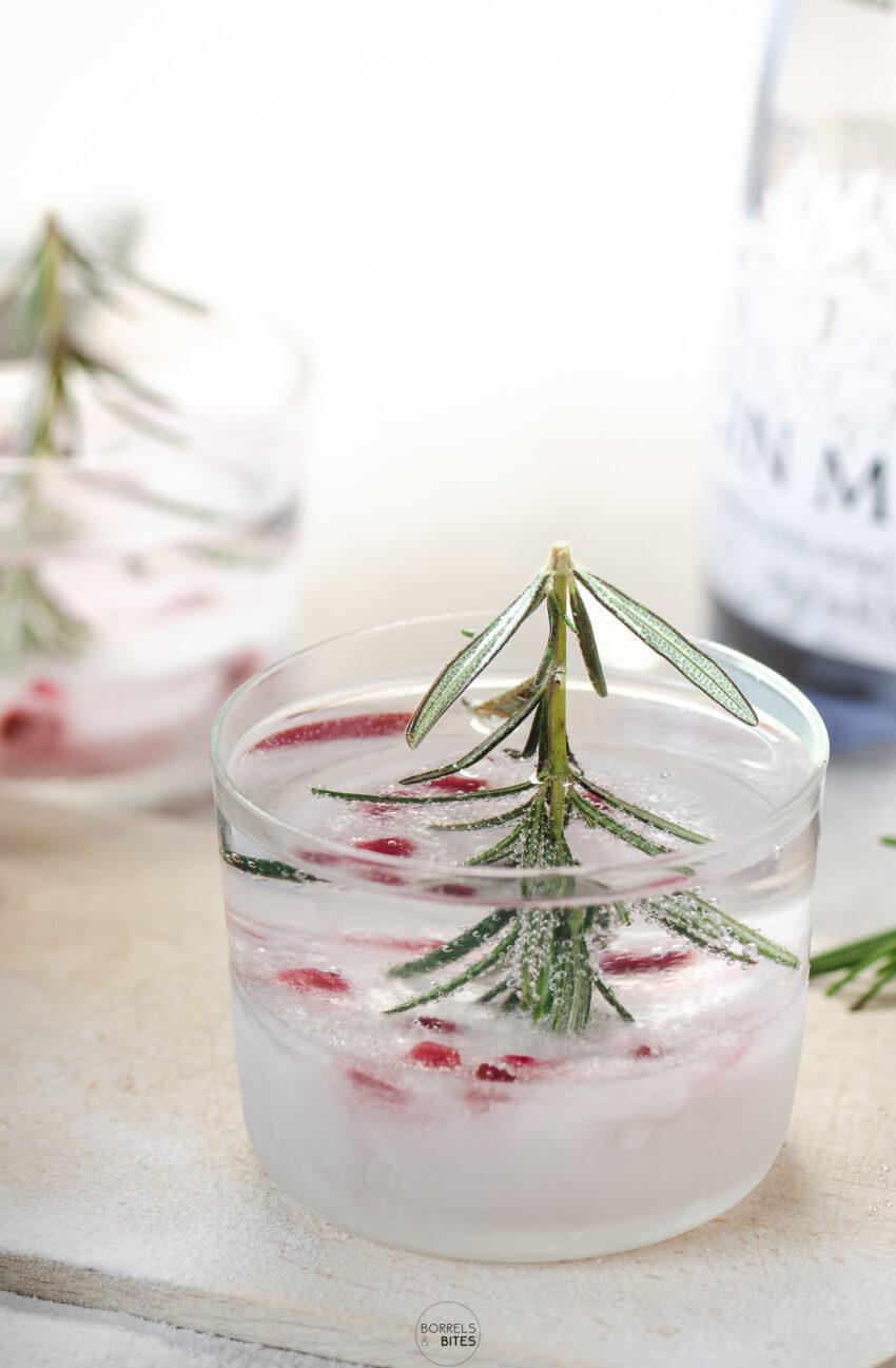 Kerst Gin Tonic-2
