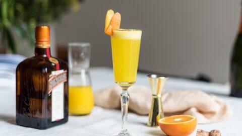 mimosa-2
