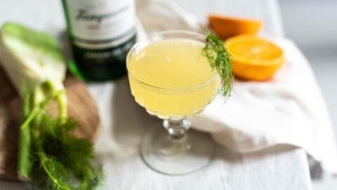 gin venkel