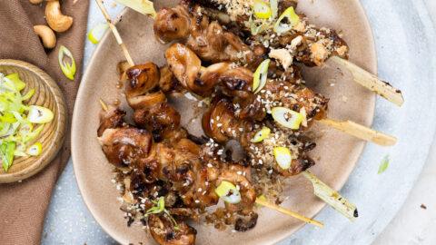 yakitori spiesjes-2